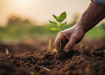 Top Sustainable Architecture Materials Every Designer Should Know